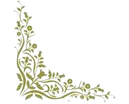 Bottom-left corner design